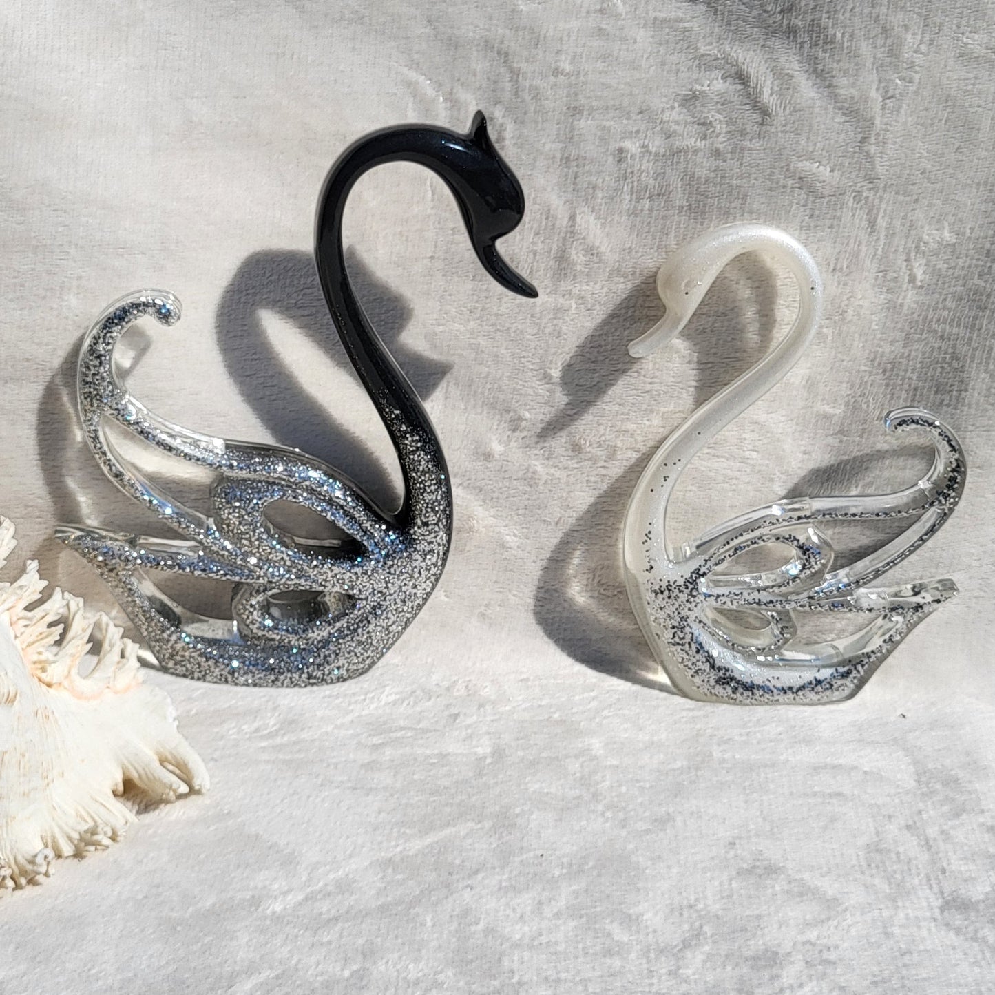 Couple De Cygnes