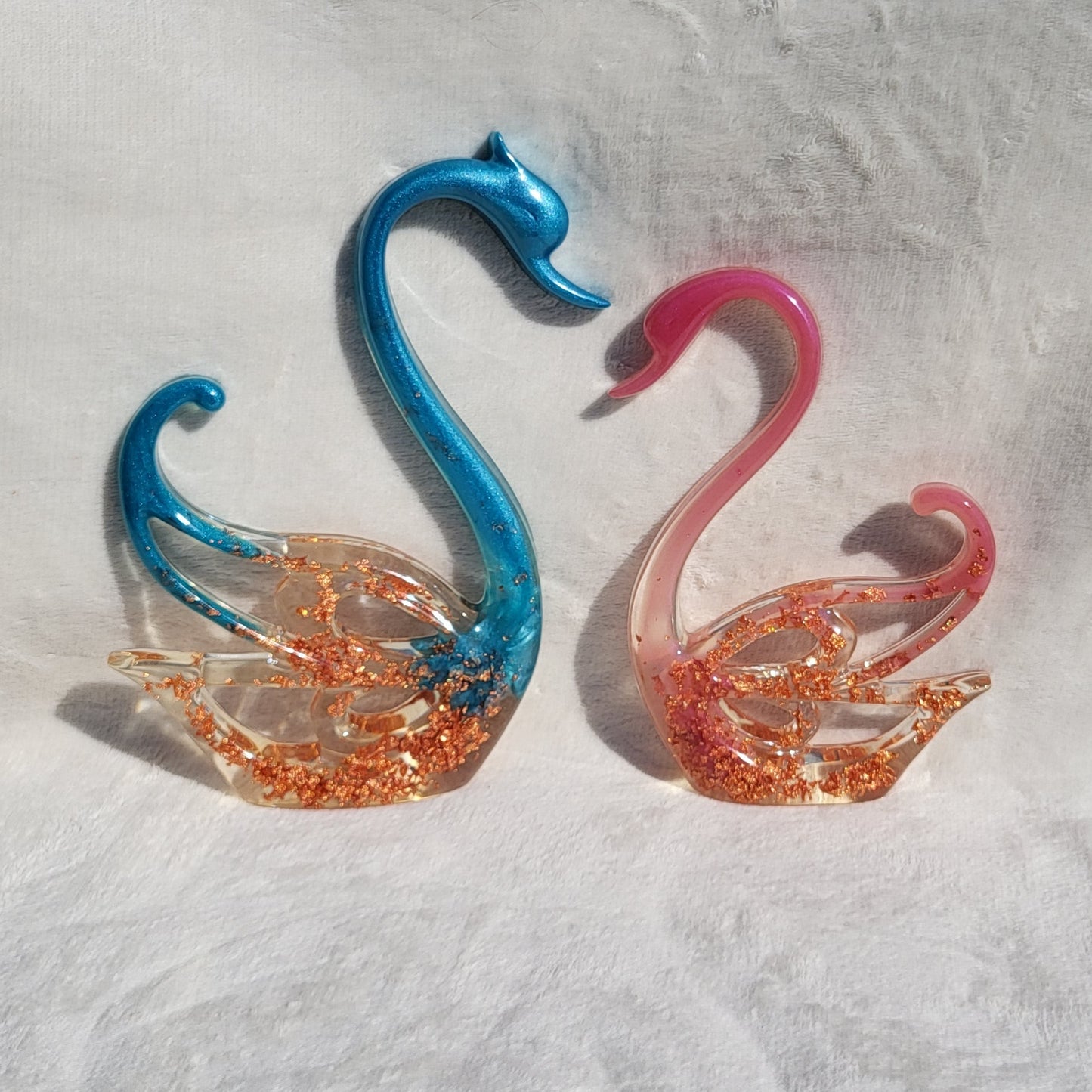 Couple De Cygnes
