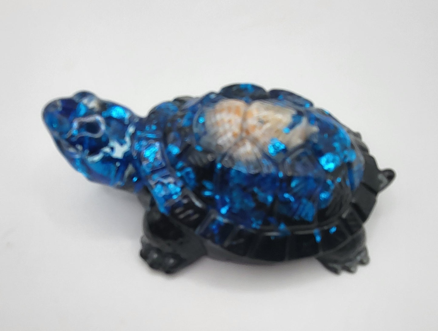 Tortue