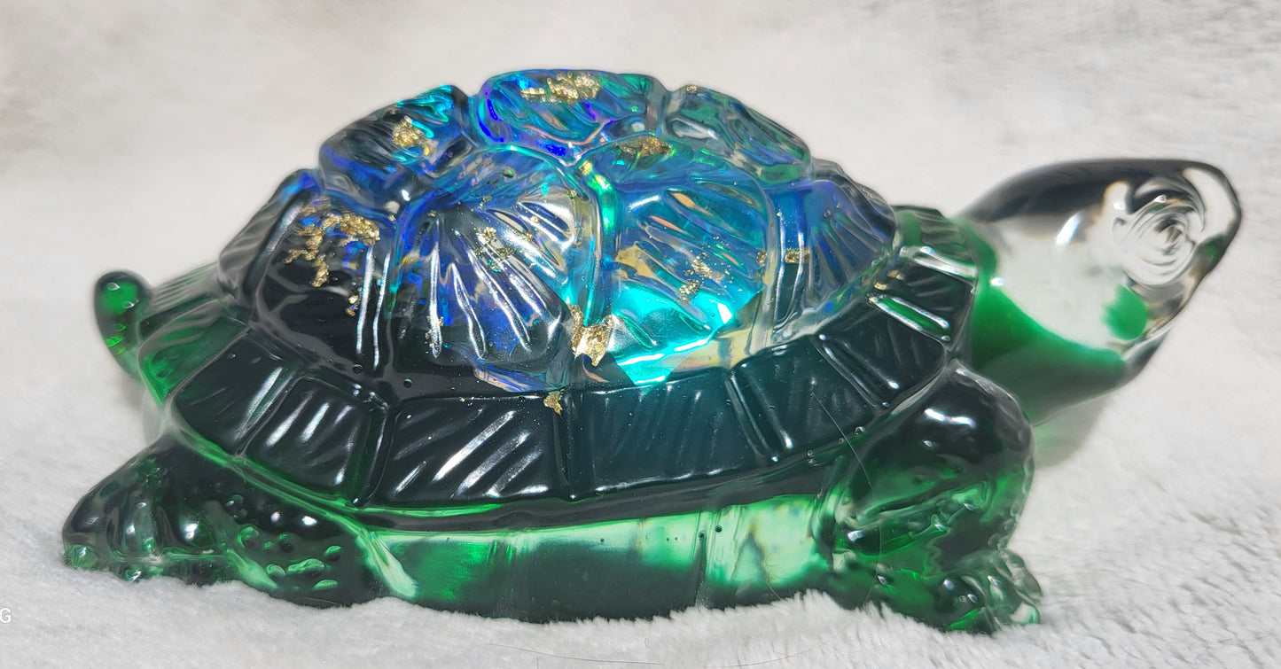 Tortue 🐢 Holographique
