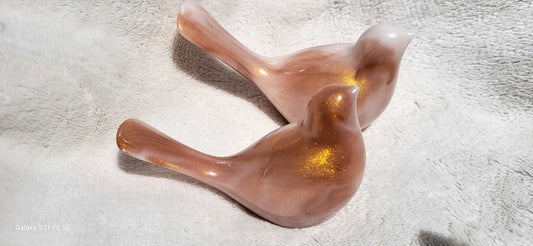 Couple d'oiseaux