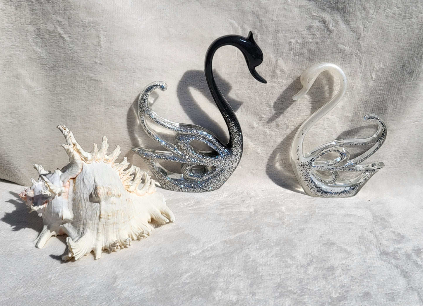 Couple de cygnes