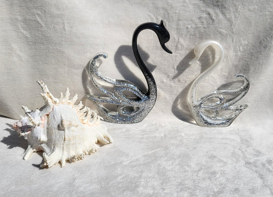 Couple de cygnes