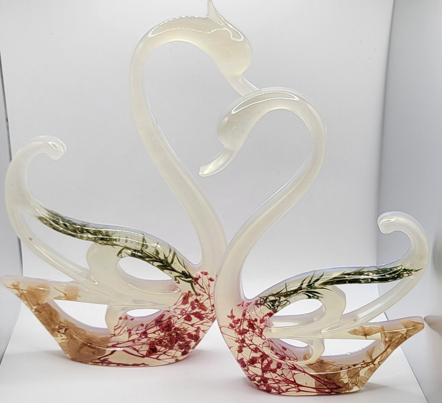 Couple de cygnes