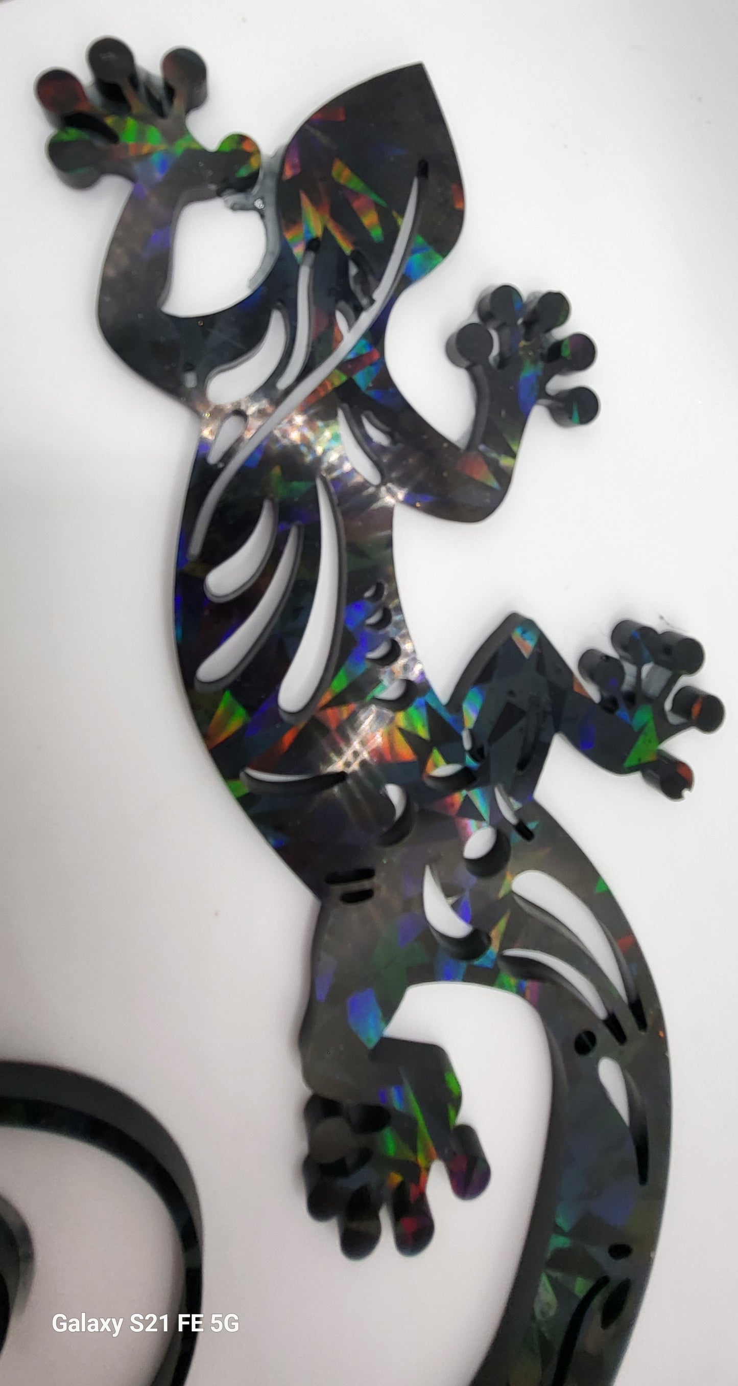 Caméléon Holographique