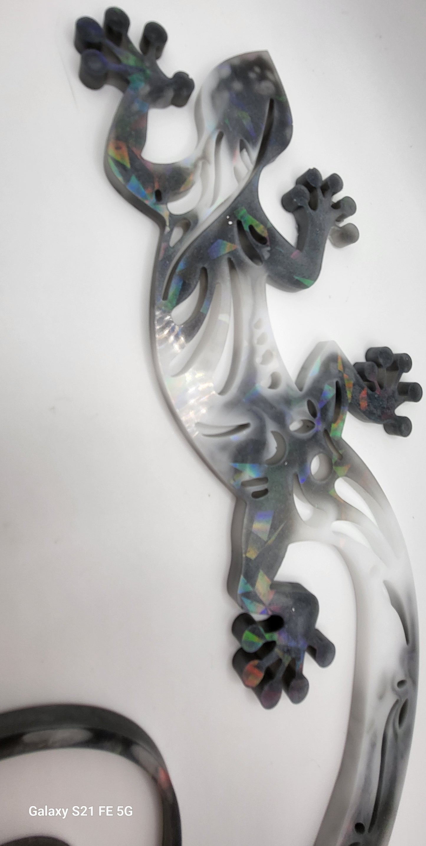 Caméléon Holographique