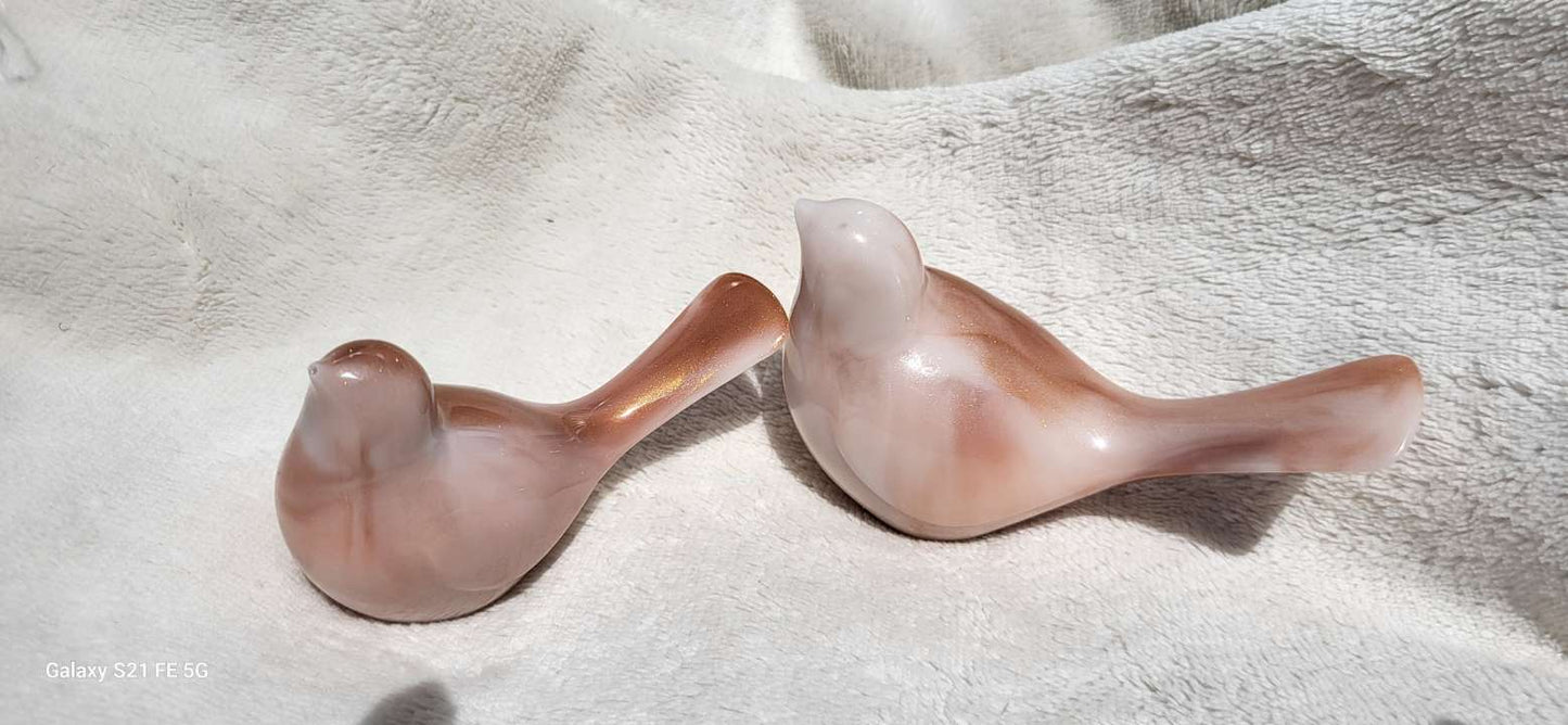 Couple d'oiseaux