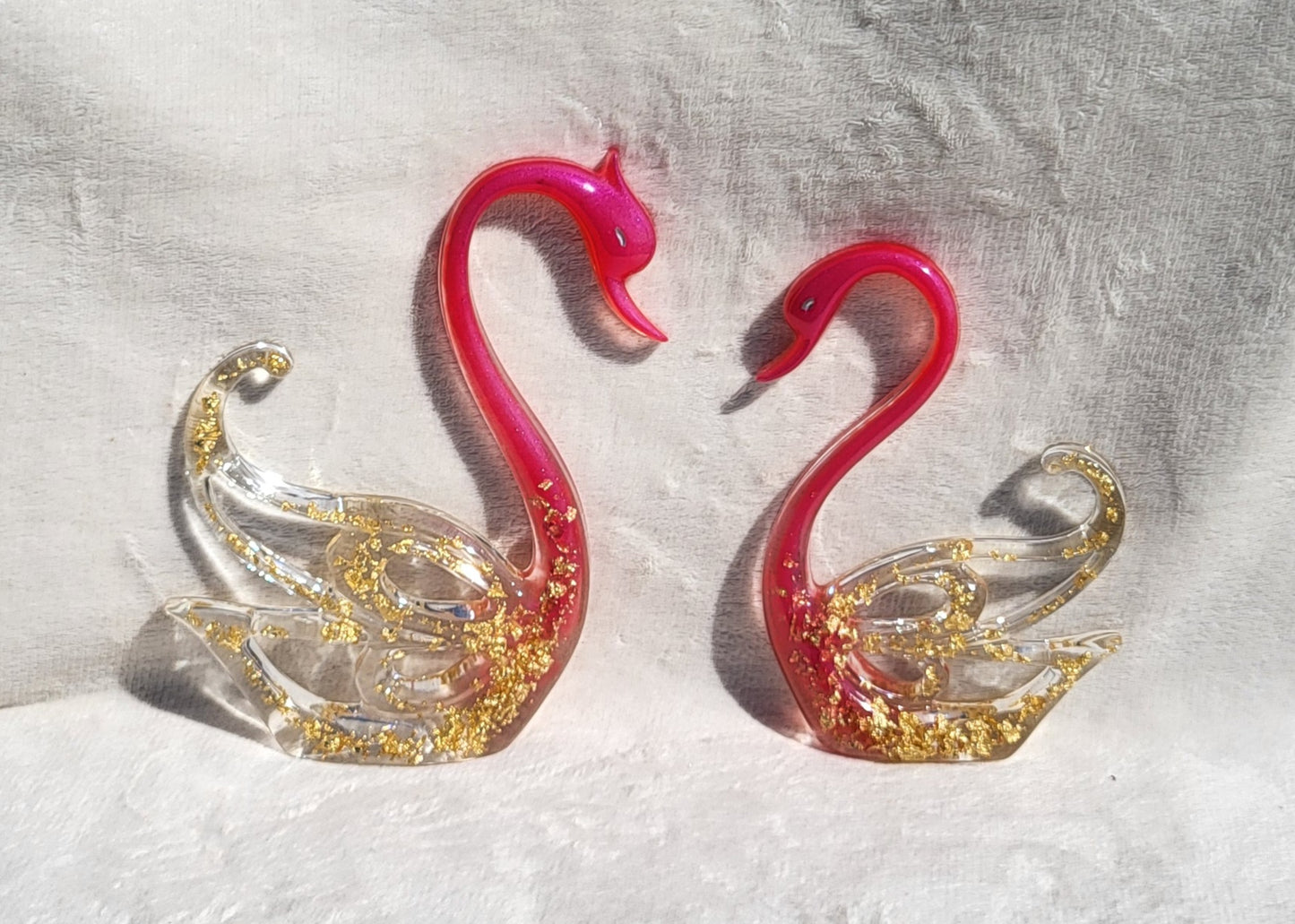Couple de cygnes