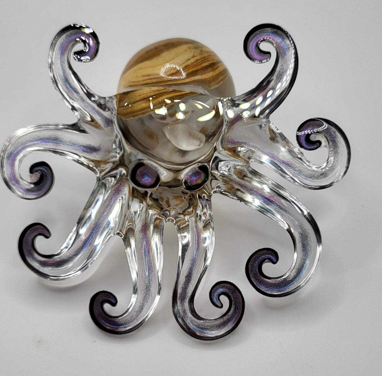 Poulpe Coquillages